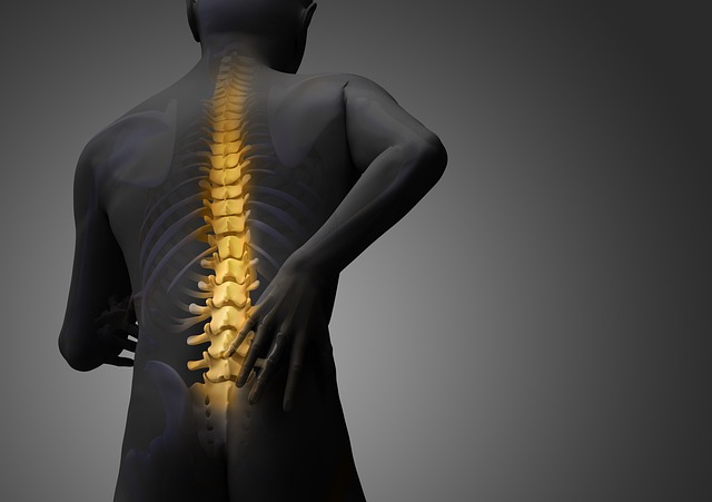 Chiropractor Choice: Should You See a Chiropractor for Lower Back Pain?