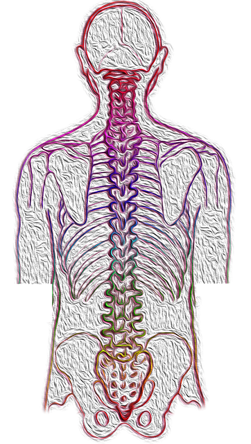 5. ‍Scoliosis and Herniated Discs: ‌Contributing Factors​ You Should Know About