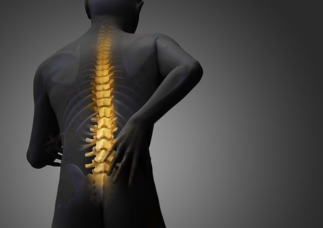 -⁢ Understanding the Mechanics of‌ Lower Back Pain: Causes ‍and Symptoms